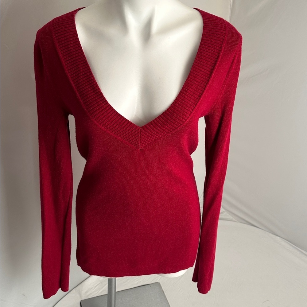 Express red wide band v-neck fitted sweater